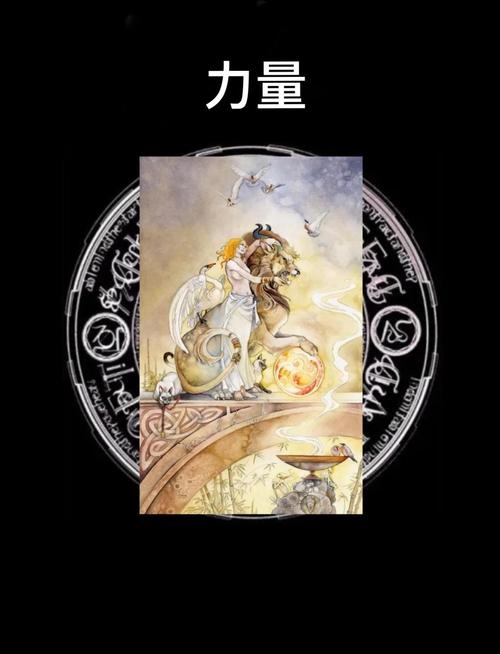塞格的塔罗牌，解读神秘的力量与用途插图