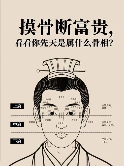 颧骨高耸的男人，性格、财运与婚姻解析插图