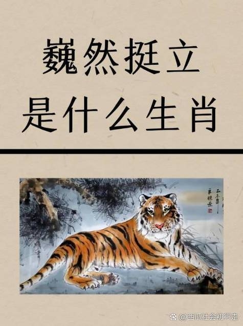 傲骨寒梅映生肖插图