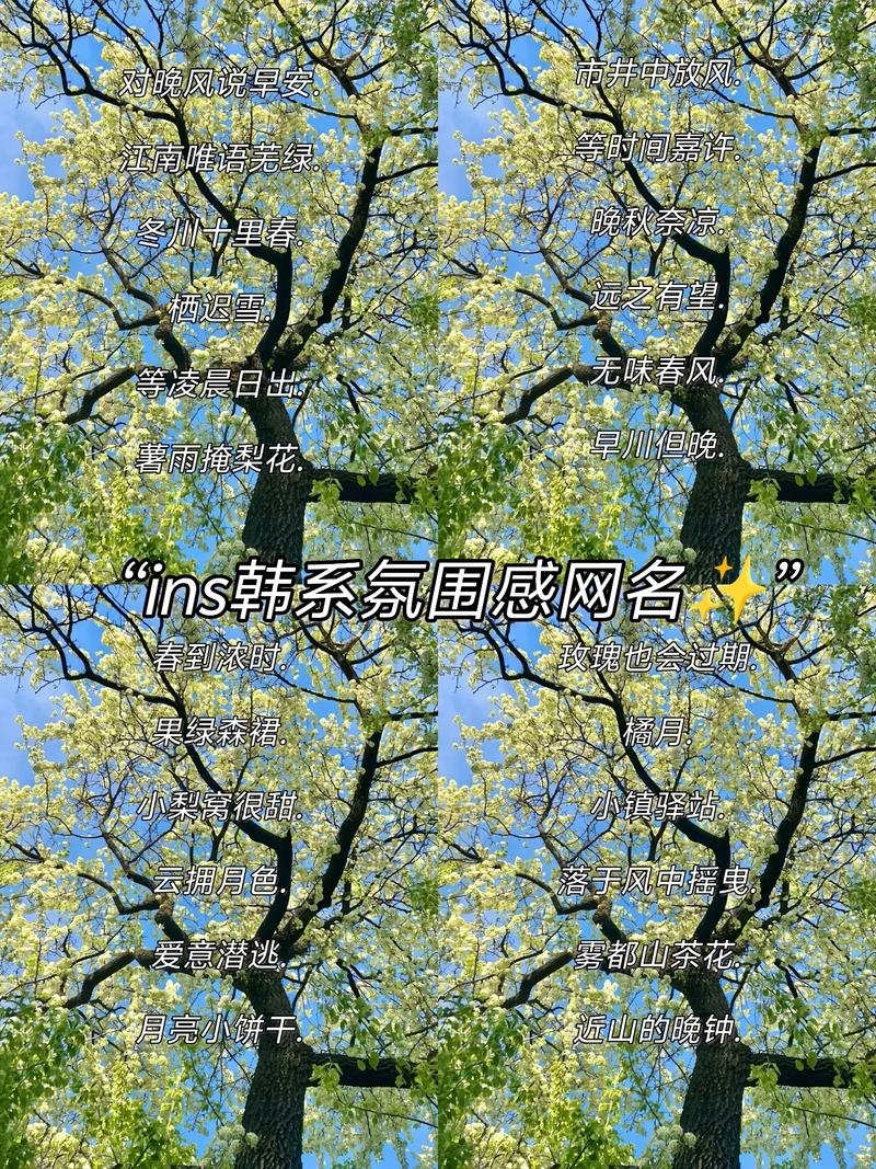 韩国网名精选，浪漫、复古与独特风格融合的名字大全插图