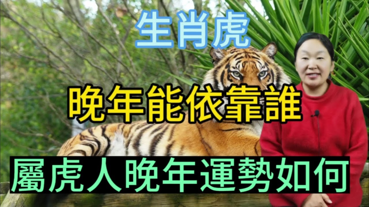 属虎人2011年运势及运程解析，事业上升，感情需谨慎插图