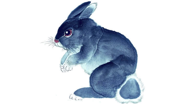 炉火纯青与生肖之谜，蛇、猴还是另有玄机？插图