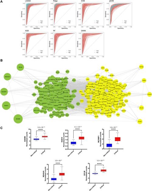 协和影音播放问题解析，版权、格式与技术原因导致的难题插图