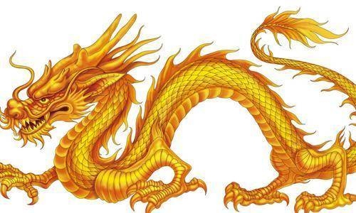 挥金如土的生肖是猪和牛，也有说法认为是马或龙。插图