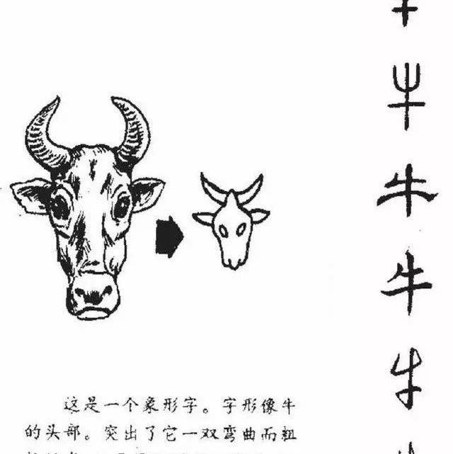 信口雌黄的生肖之谜，鸡与牛的解读或文化溯源探究插图