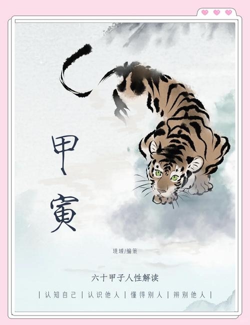 侠客心肠指的生肖是虎。插图