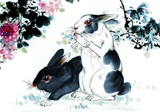 乘龙快婿打一生肖，谜底是兔、马或虎，暗示生肖为龙。插图