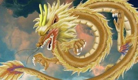 属龙人33岁苦原因探究插图