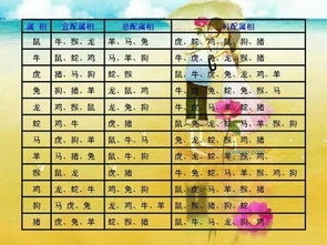 属龙男最佳婚配及不合婚姻对象分析插图 属龙男最佳婚配及不合婚姻对象分析插图