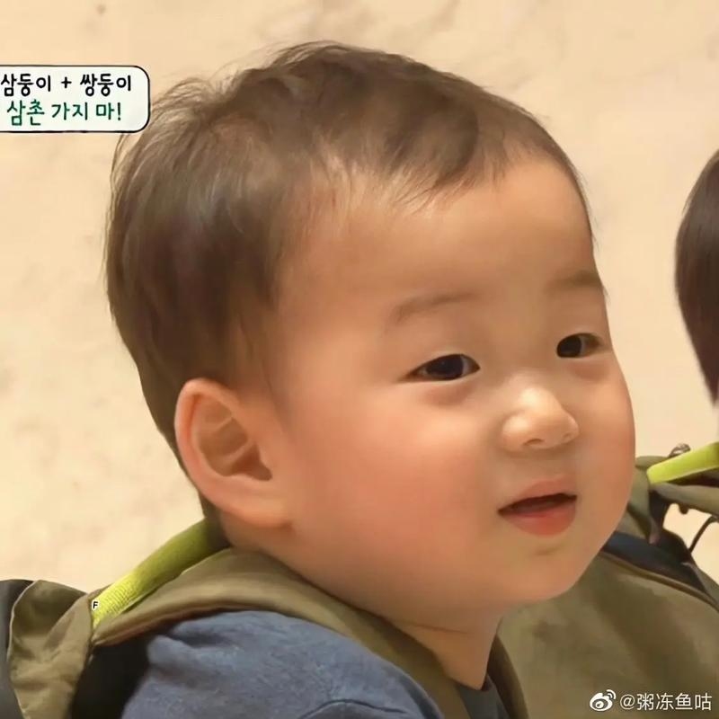 宋民国表情包，从萌娃到社交热门符号的蜕变插图