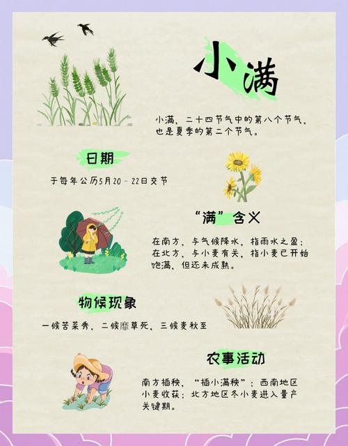 小满节气时间范围及寓意插图
