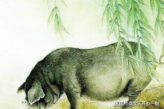 豪门酒肉生肖猪插图