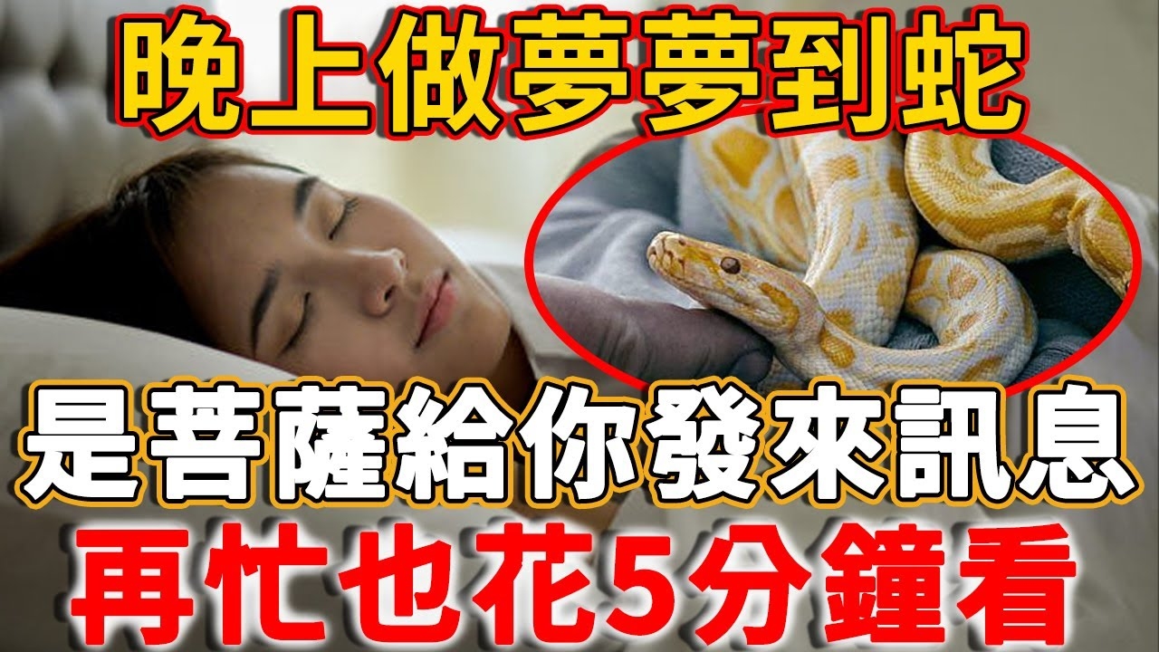 蛇梦解析之夜夜见蛇吉凶预兆插图