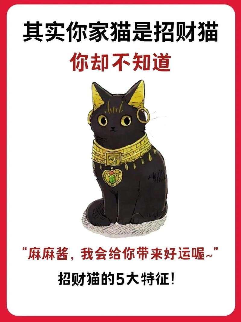 猫梦解析，好运、财富与情感预示插图