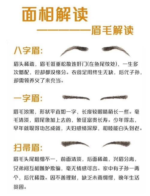 眉毛看相解析插图