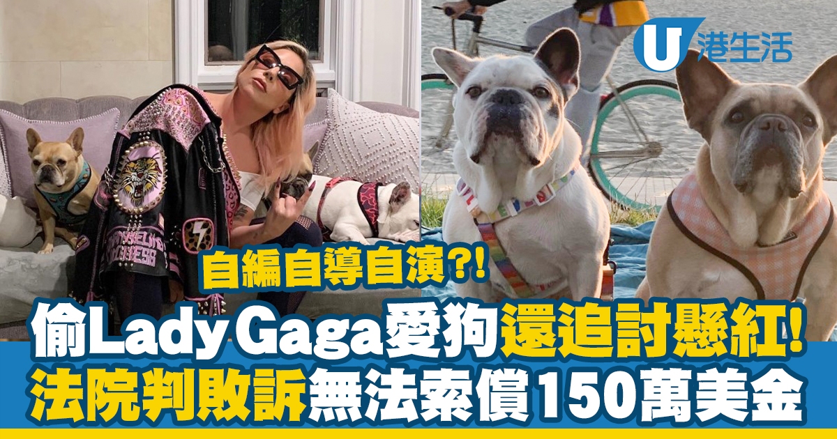 欧美流行天后Lady Gaga与宠物狗名字背后的故事，概括了上述内容的多个方面，包括关于Lady Gaga的介绍、不同语言中我爱你的表达方式以及牡丹鹦鹉的叫声分析等内容。同时，宠物狗的名字背后的故事也涵盖了给狗狗起名的相关内容，简洁明了地表达了文章的主题。插图