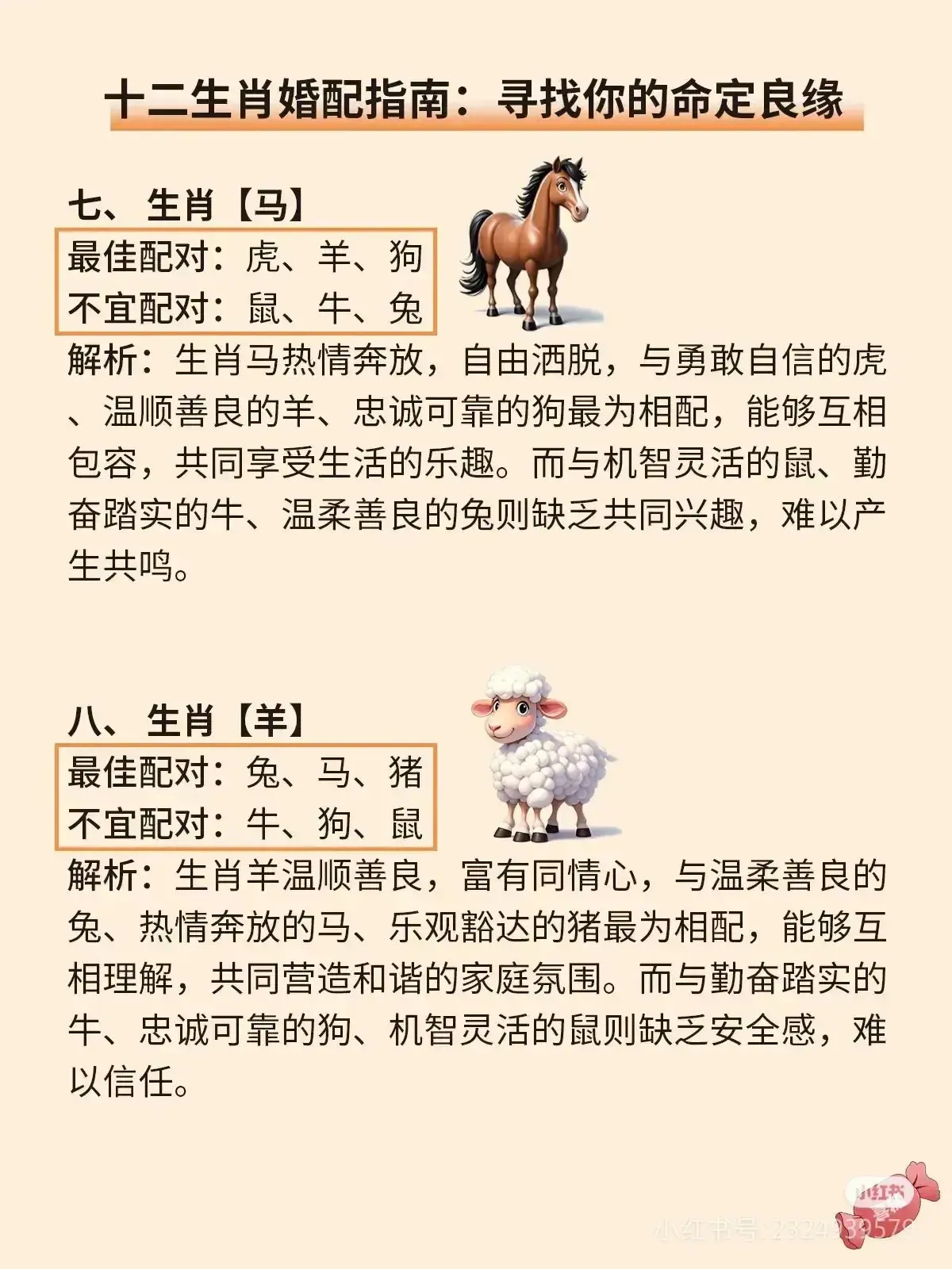 属马人的最佳配对与相克属相解析插图