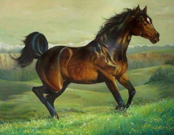 属马人一生最克的三大生肖1、属鼠；，2、属牛；，3、属兔。插图