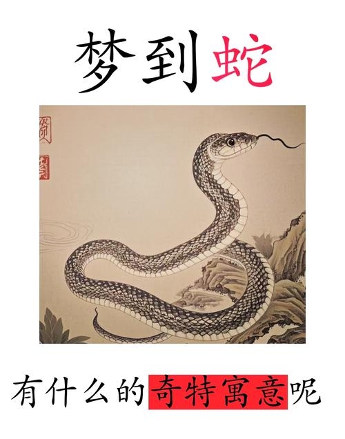 蛇梦预示好运与挑战插图
