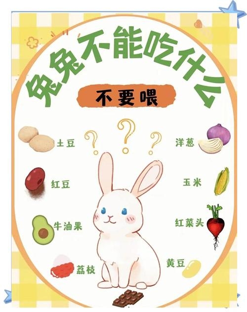 兔年本命年属兔人注意事项及忌讳，谨慎投资、重视健康与人际关系，避免前往不良场所和注意防范小人插图