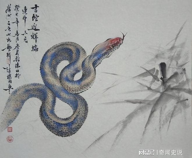 3年出生的属蛇人五行属水，是水蛇年插图