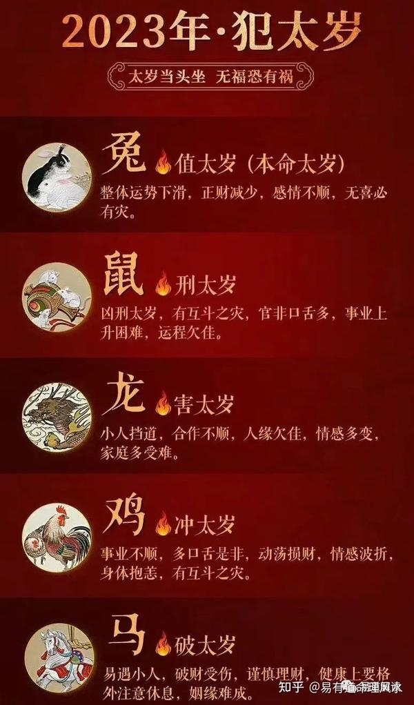 鼠年犯太岁生肖提醒插图