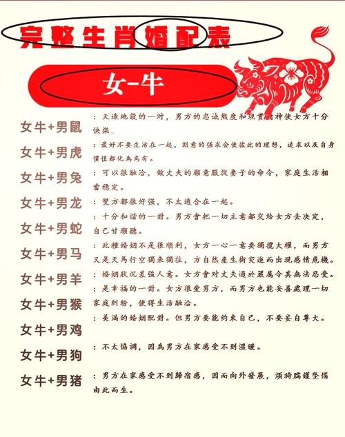 属牛人的婚姻与命运解析插图 属牛人的婚姻与命运解析插图