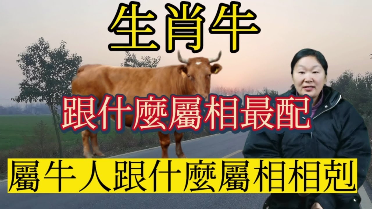 属牛人的最佳配对与相克属相解析插图