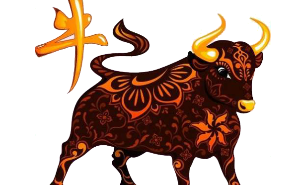 属牛人2021年全年运势详解插图 属牛人2021年全年运势详解插图