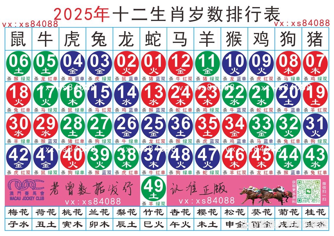 蛇年生肖列表及未来预测插图