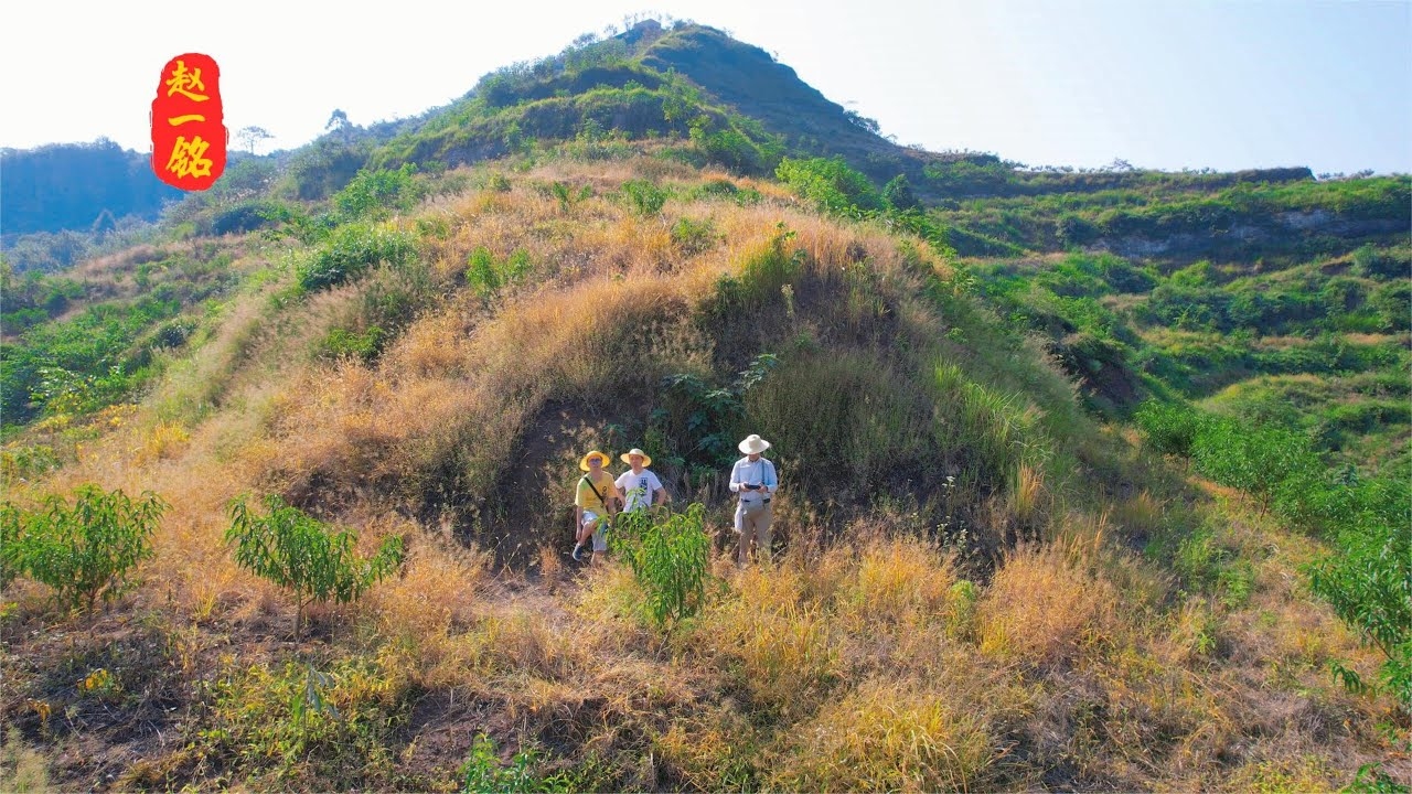 犀牛望月指虎生肖。插图