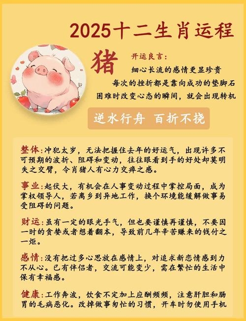 猪年运势详解插图