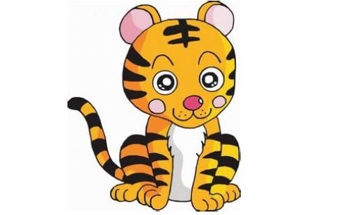 脾气火爆的生肖是虎。插图