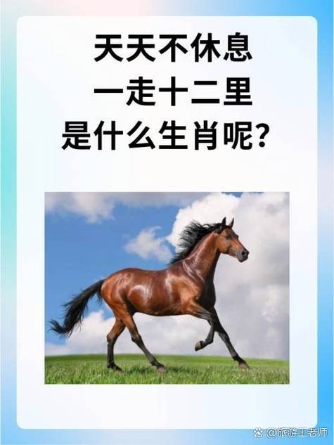 驾轻就熟的生肖是马。插图