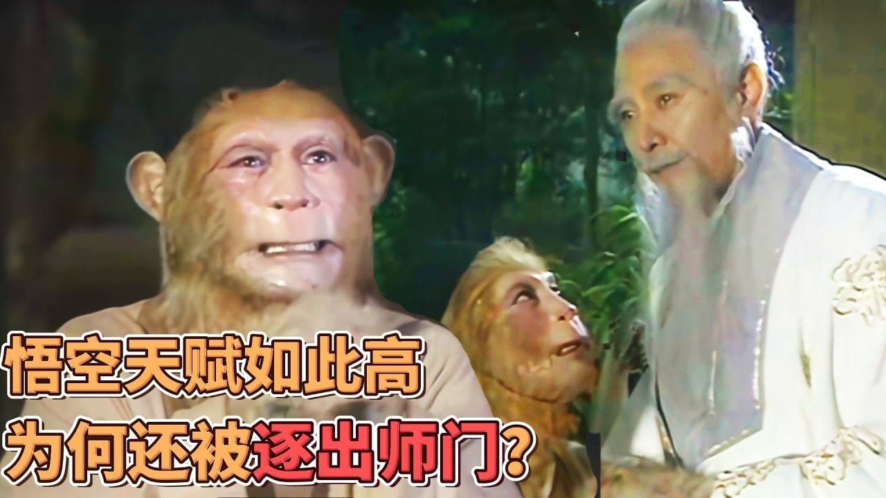 惩前毖后，猴的智慧之选插图