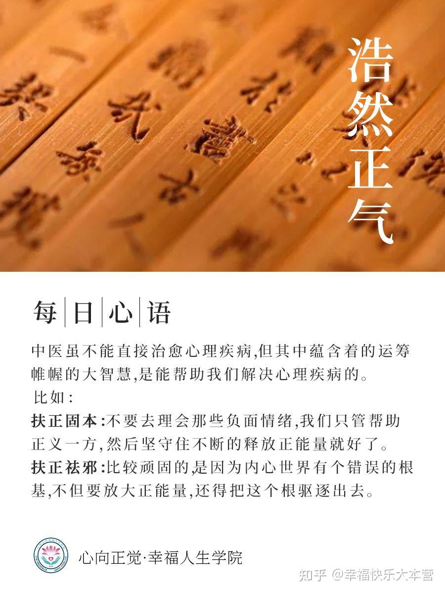 浩然的意思(浩然正气的浩然的意思)插图 浩然的意思(浩然正气的浩然的意思)插图