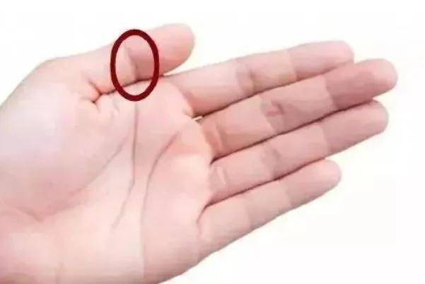 男人看手相，解析左手先天运势与右手后天变化的重要性插图