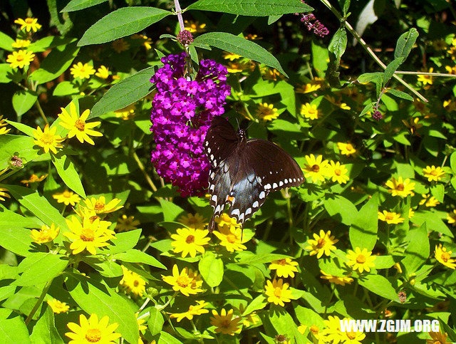 男人梦见掉头发的多重解读,预示好运、健康困扰或心理压力,建议,男性梦境中掉发寓意解析 或 男子梦现脱发,究竟暗示什么?插图 男人梦见掉头发的多重解读,预示好运、健康困扰或心理压力,建议,男性梦境中掉发寓意解析 或 男子梦现脱发,究竟暗示什么?插图
