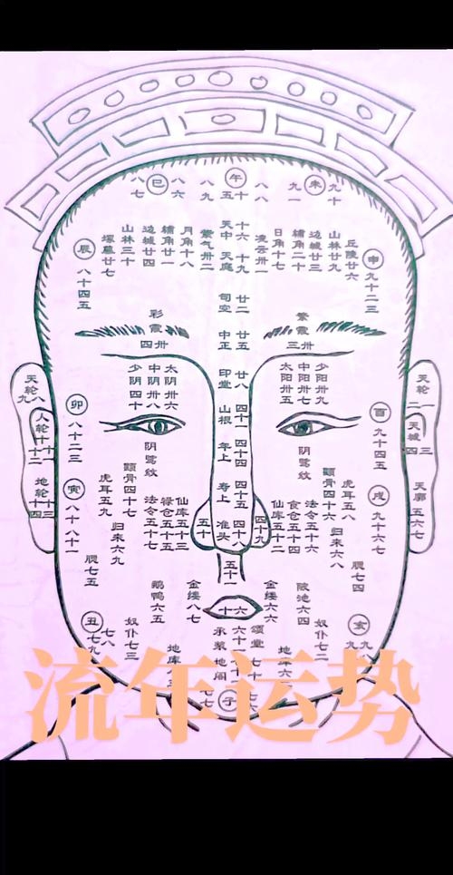 男人面相算命图解大全插图