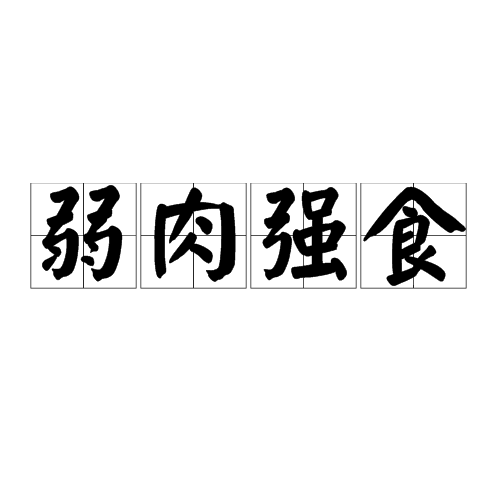 弱肉强食生肖答插图