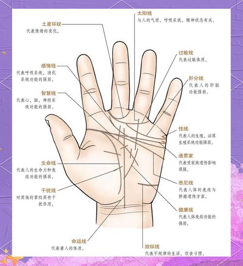 男人生命线看手相解读插图