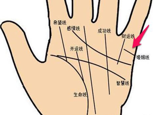 男人手相解析，婚姻与事业之秘插图