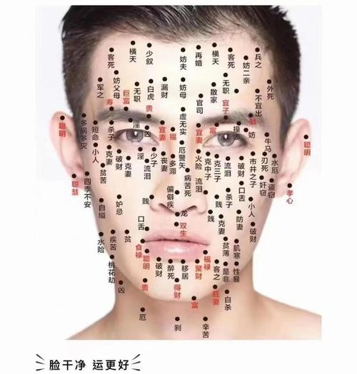 男人痣相与命运，位置决定福气插图