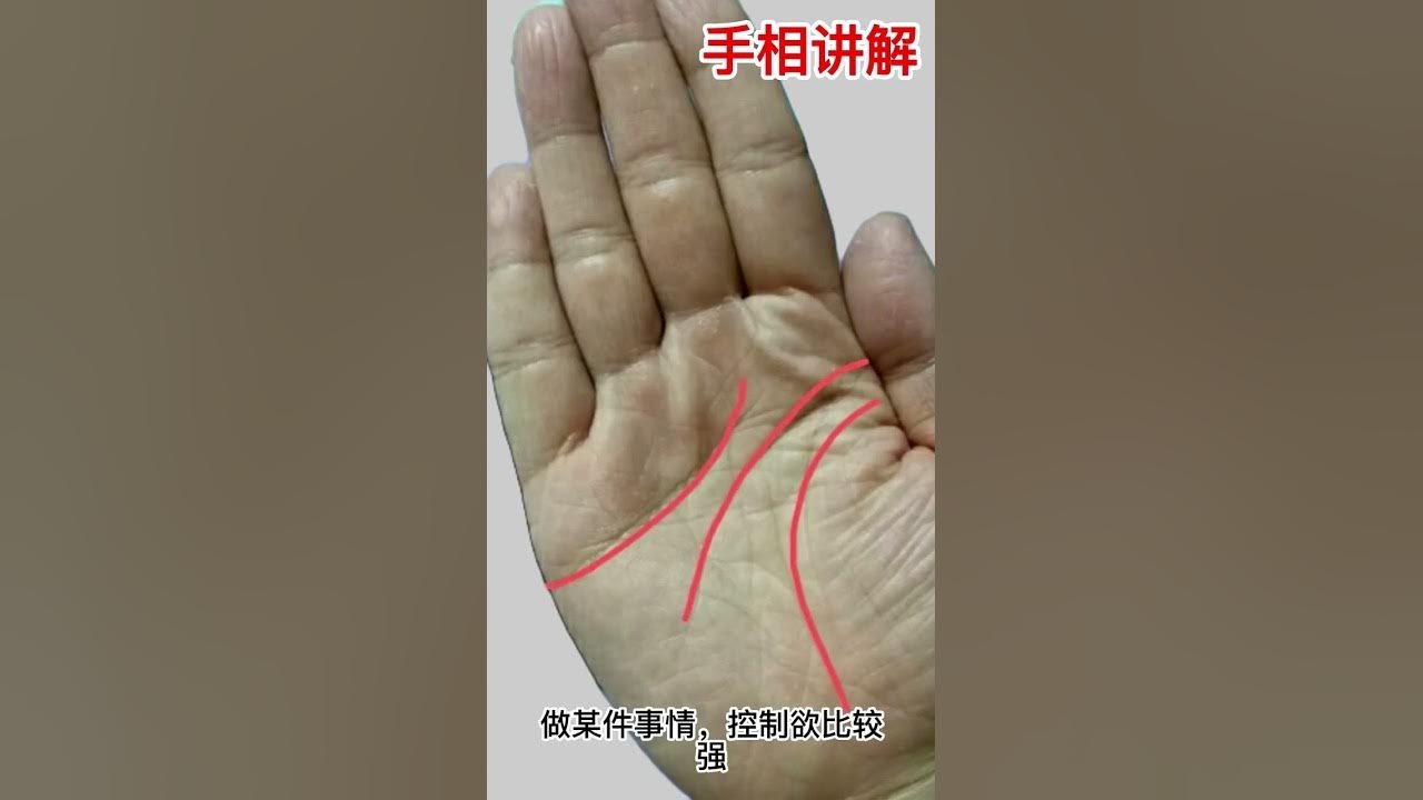 男人川字掌看手相解读插图 男人川字掌看手相解读插图