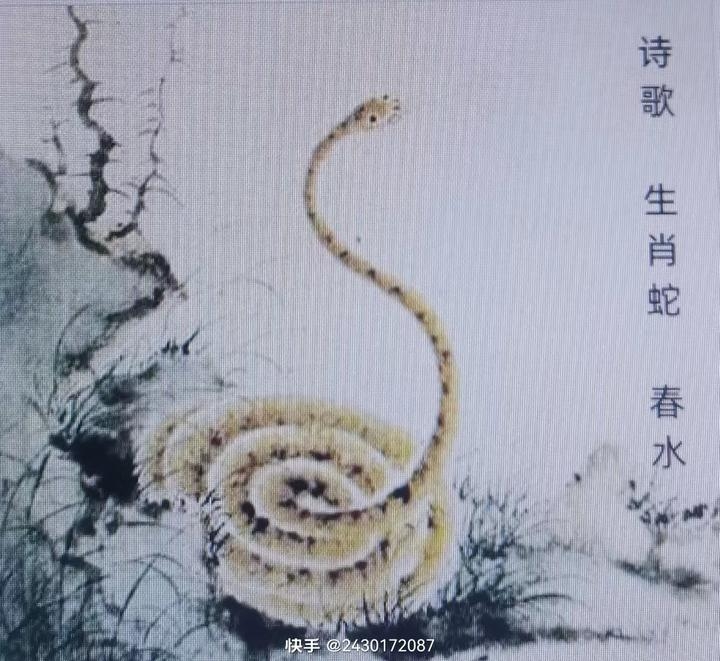 秋收冬藏与生肖蛇的奇妙联系插图