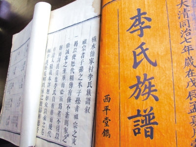 李氏家族寻根网站，探寻陇西李氏宗族的历史渊源与文化意义插图