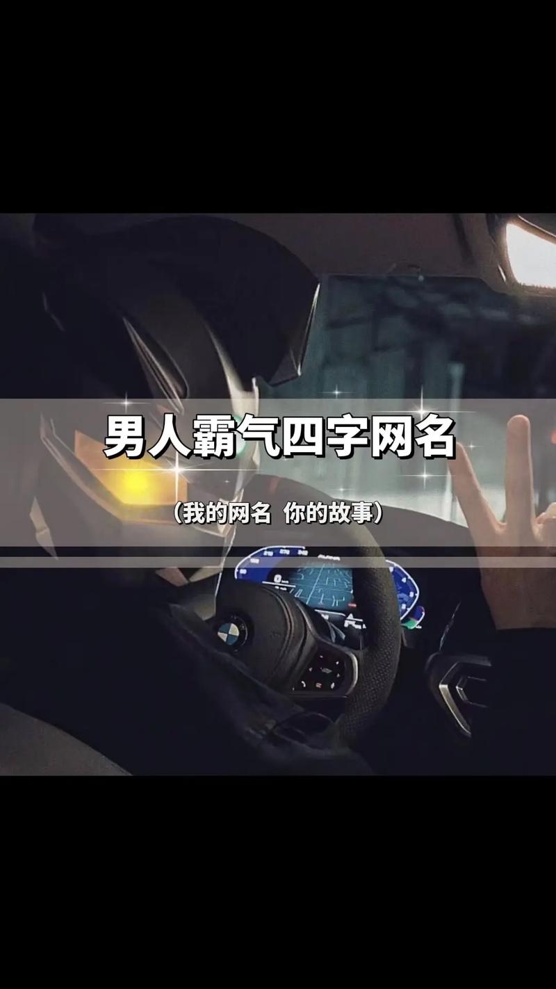 男生网名高冷四个字插图