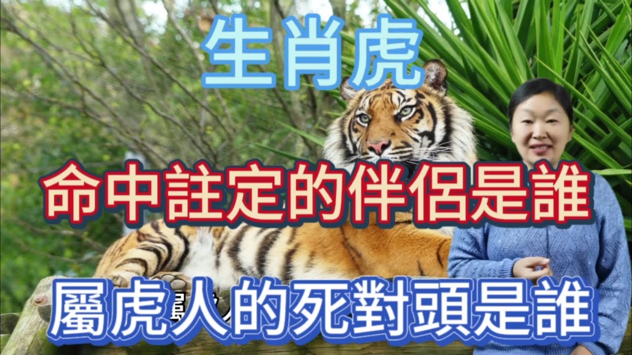 敲山震虎猜一生肖 虎插图
