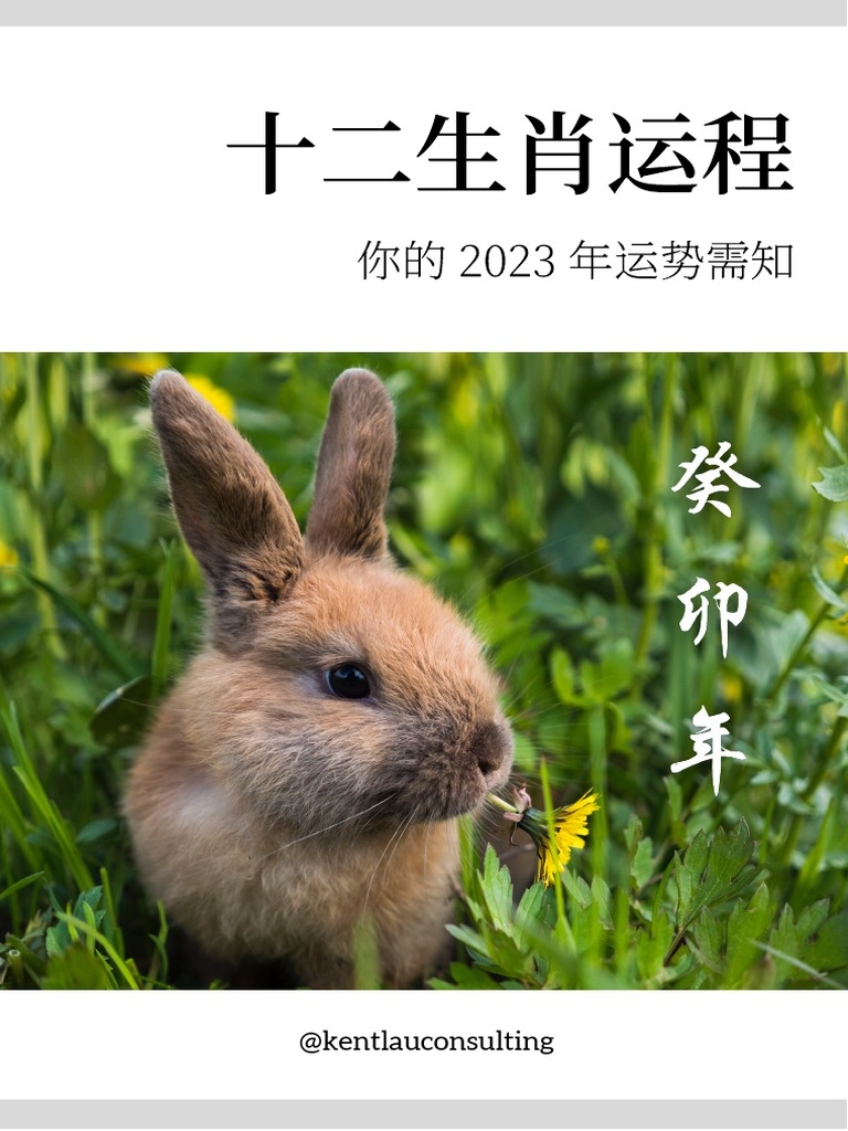 卯生肖解读插图 卯生肖解读插图