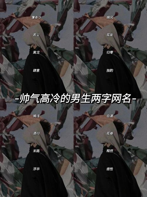 男生霸气网名推荐，，黑骑士、赵迪、暖男、青锋先森插图